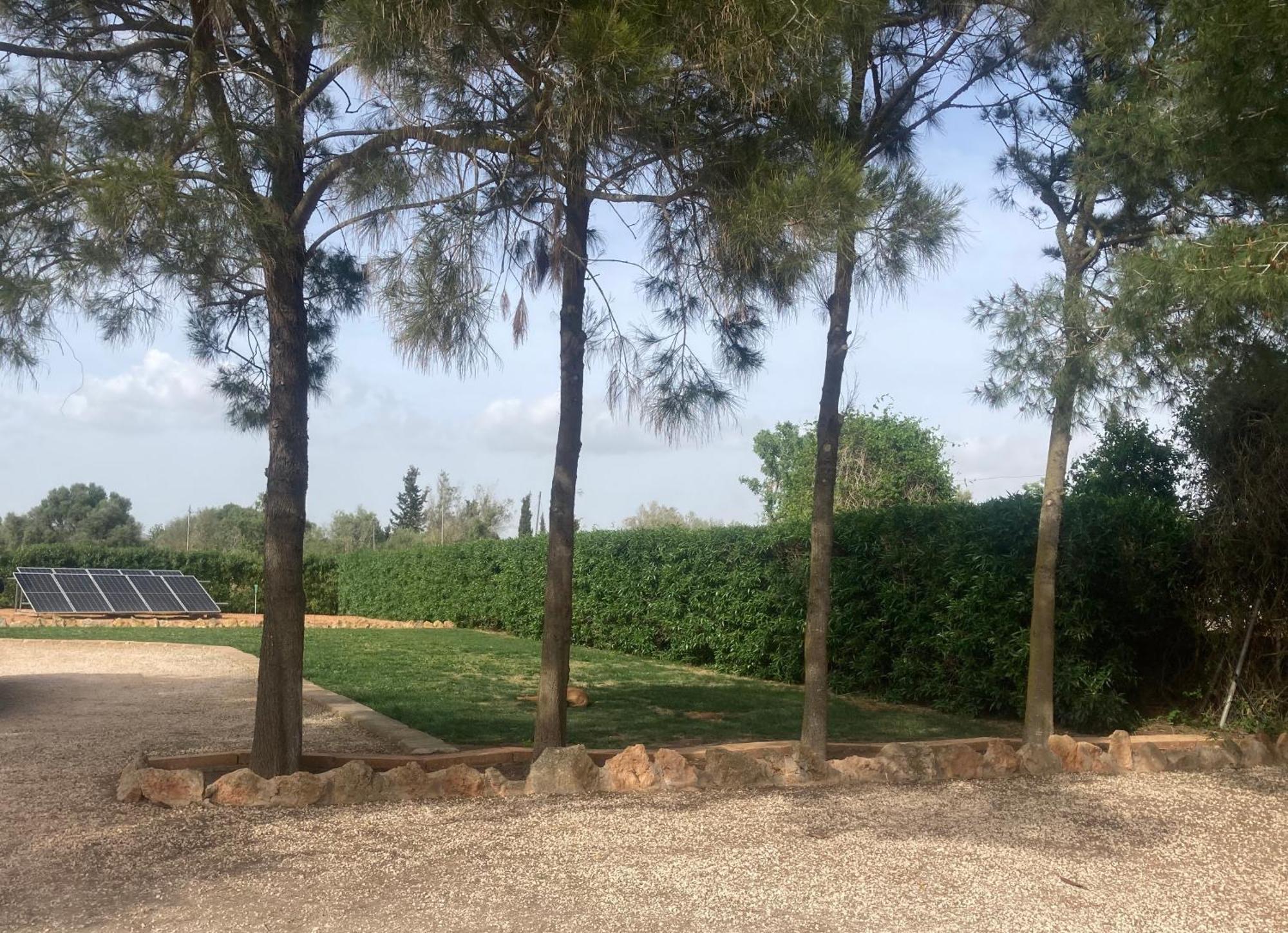 Ferienhaus Casa David Campos (Mallorca)